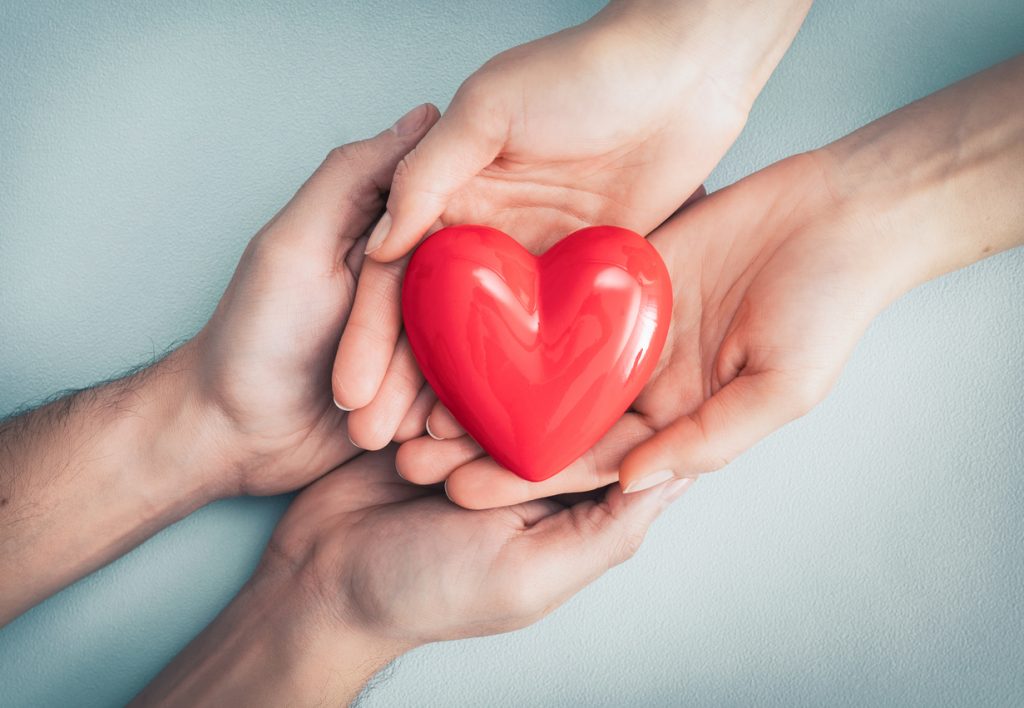 An adult, mother and child hold a red heart in their hands. Concept for charity, health insurance, love, international cardiology day.