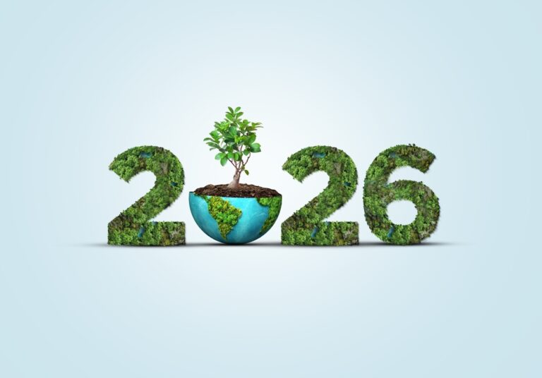Día Mundial del Reciclaje: cómo transformamos residuos en futuro